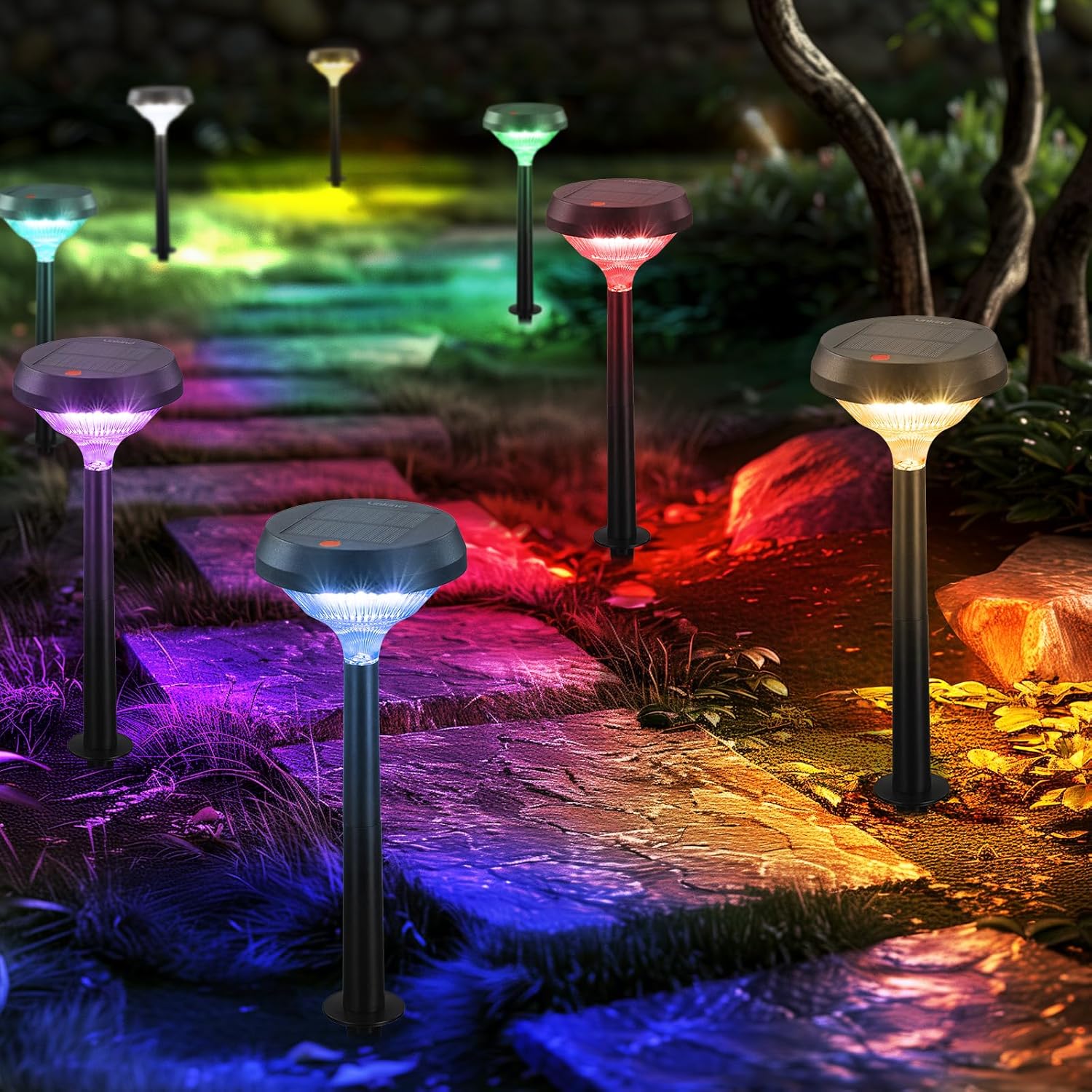 Thumbnail 11